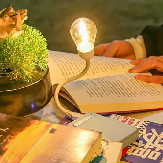Book Reading/Camping Light/Night Light Retro Authentic Usb Input Lamp Unbreakable Lamp